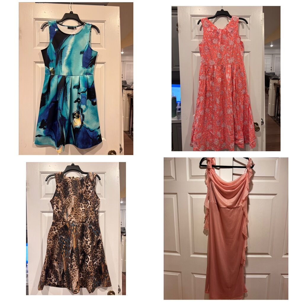 Women’s Dresses $10 Each
