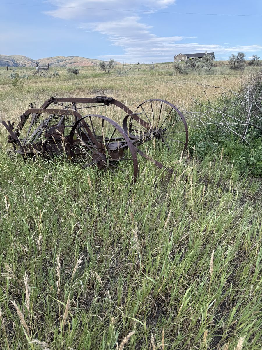 Antique hay rakes