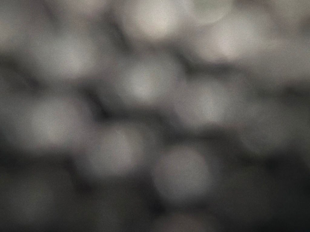 Main image 22