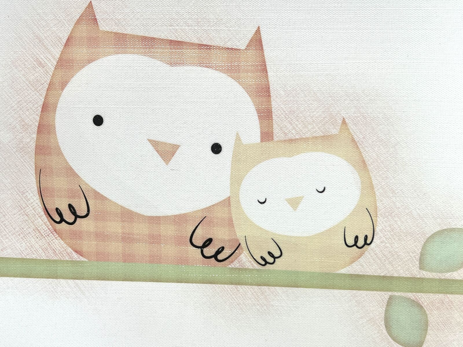 Cute Owls Canvas Art