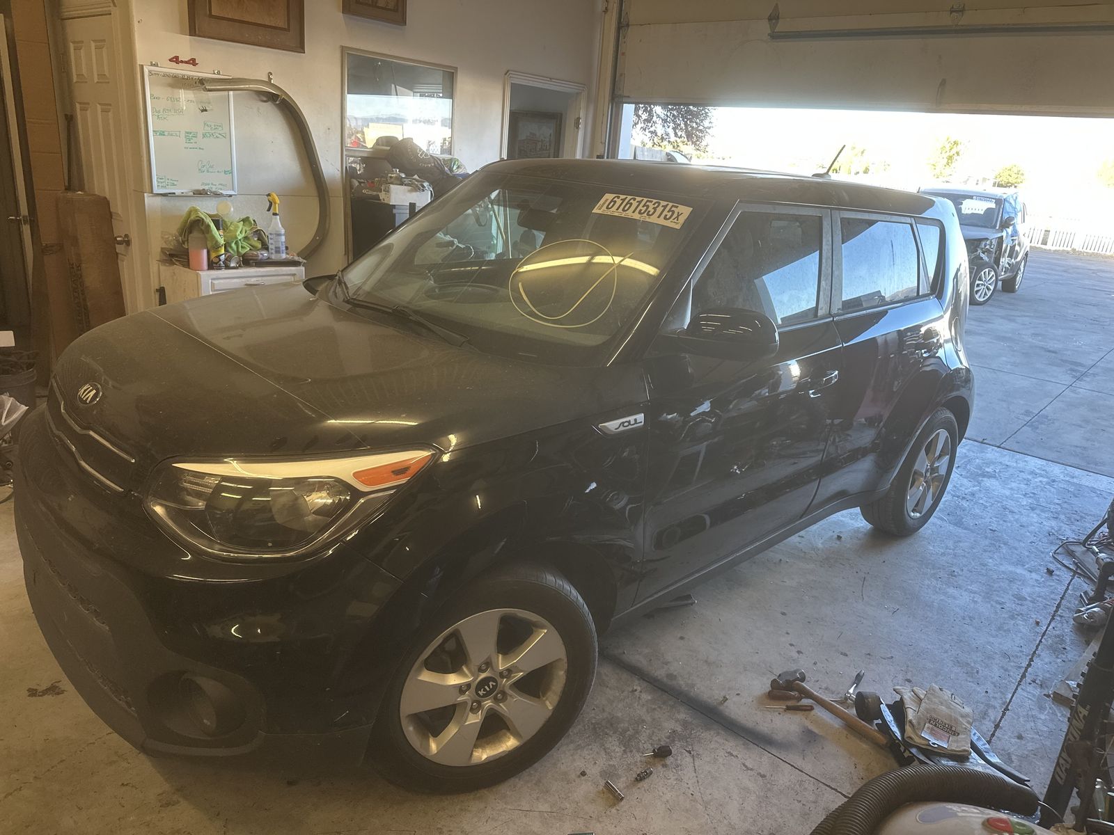 Litter Of  Kia Soul s 2019 2012 2017