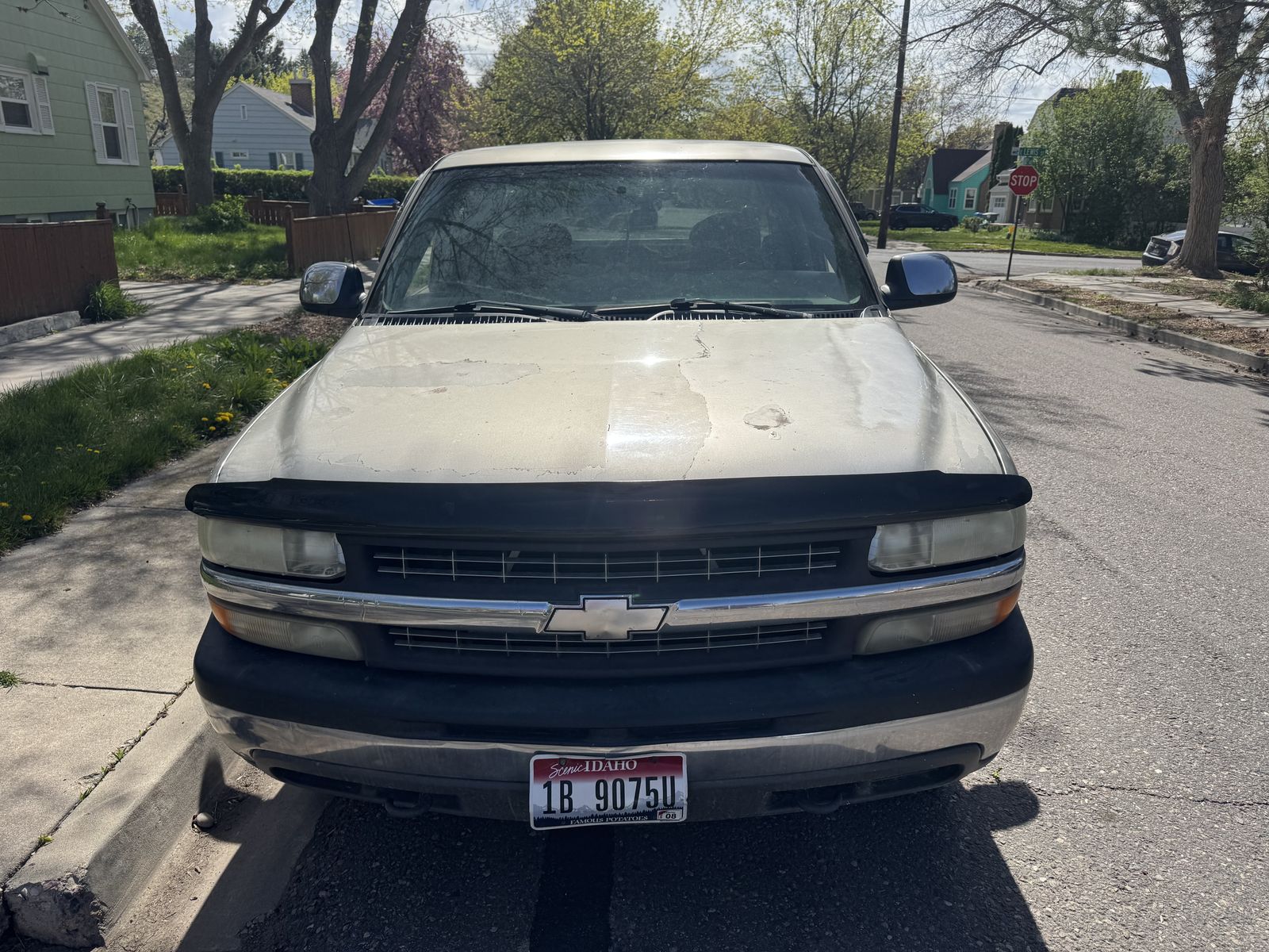 1999 Chevrolet Silverado 1500 