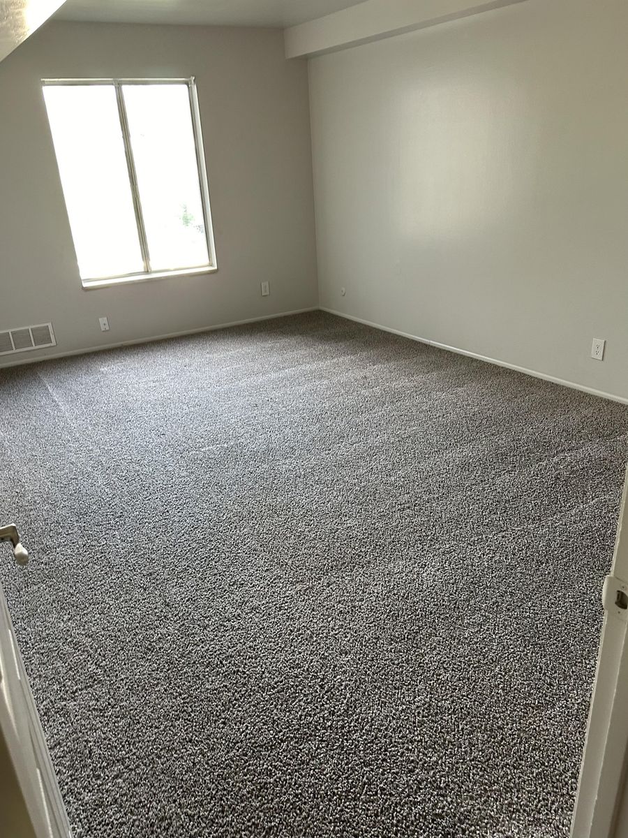 Carpet CleaningPro