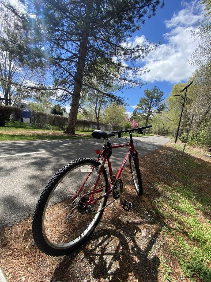 Trek Antelope 800
