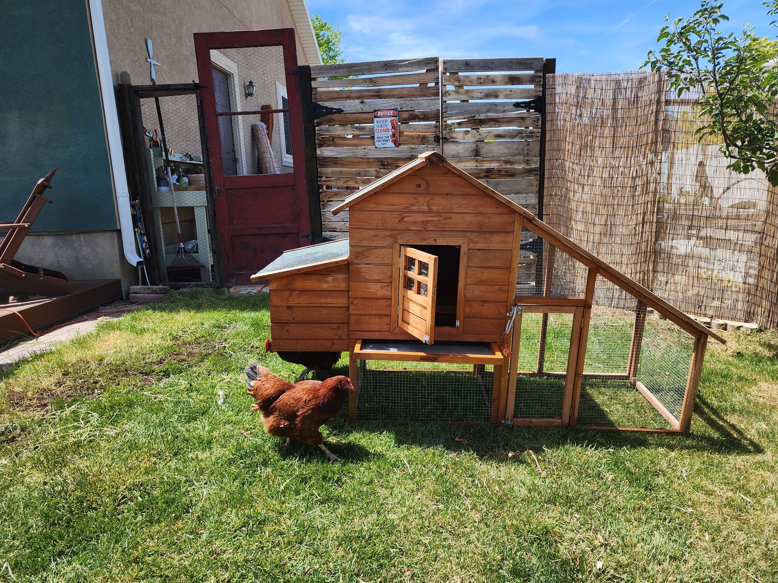 Deluxe Large Wood Chicken Coop Backyard Hen House 3-5 Chickens w Nesting Box Run