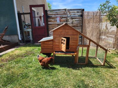 Deluxe Large Wood Chicken Coop Backyard Hen House 3-5 Chickens w Nesting Box Run
