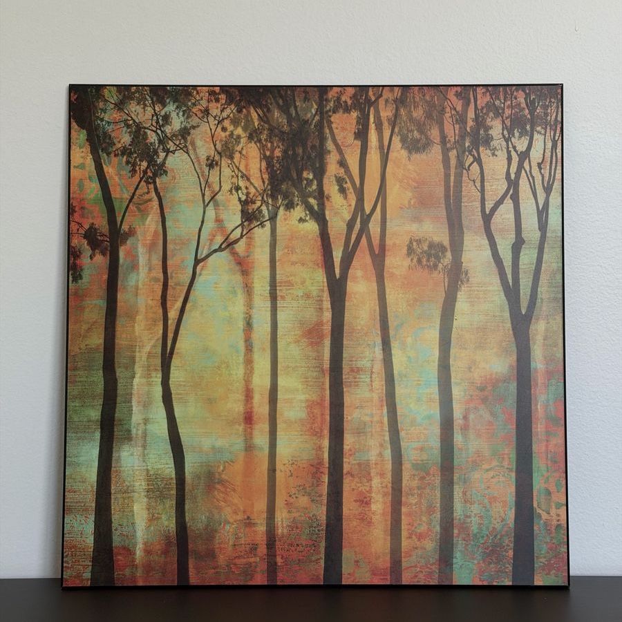 Magical Forest I - Canvas Print (wall art) by Chris donovan