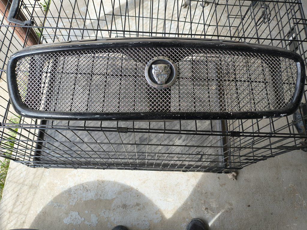 Jaguar grill