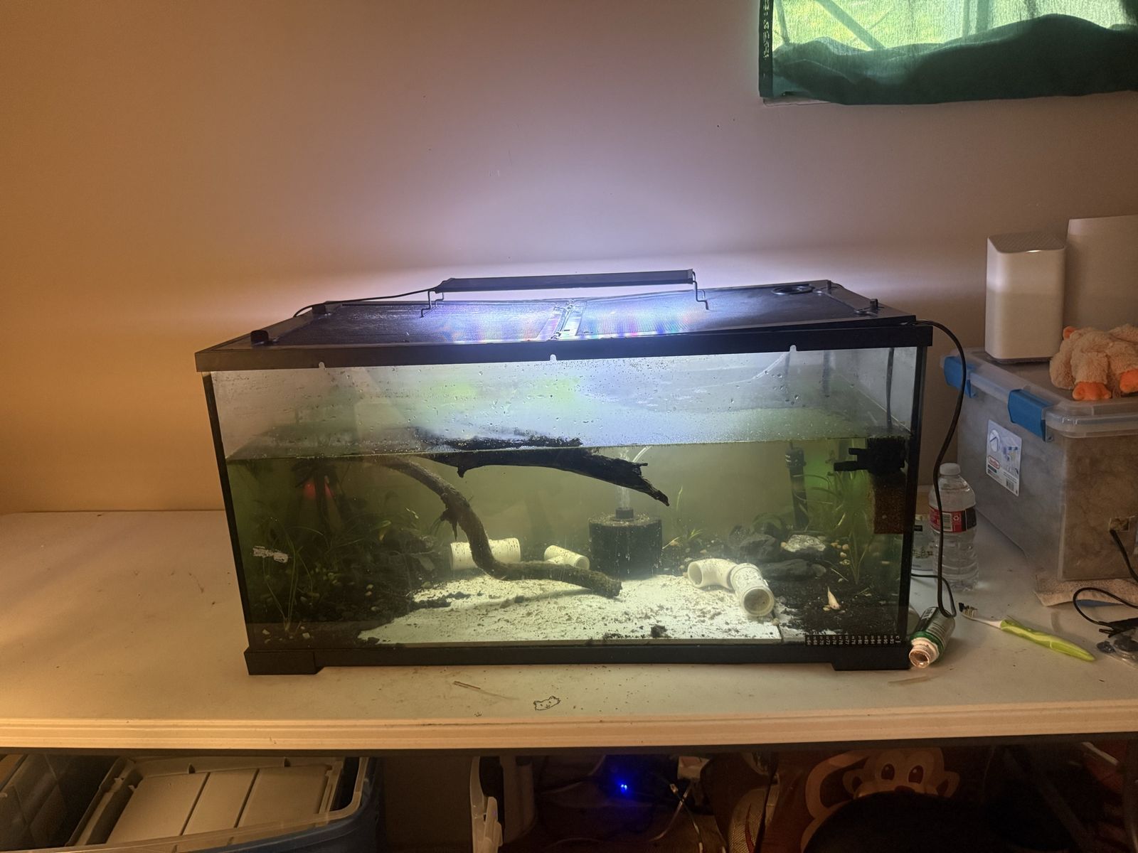 55 gallon breeder or 55 gallon tall aquarium or both to trade for 125+ gallon. other angle fish tank trade only it’s 75g