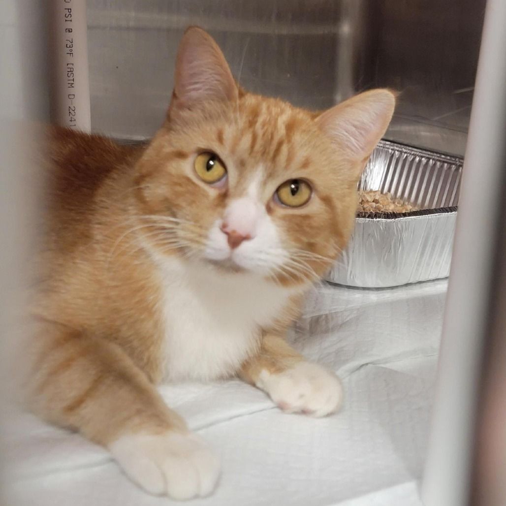 Hello my name is Mars