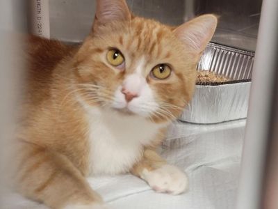 Hello my name is Mars