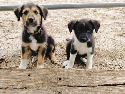 Yard Sale Garage Sale Saturday 4/11 at 9:00 a.m. start time.