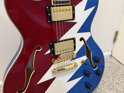 D'Angelico Premier Grateful Dead DC Guitar *NEW*