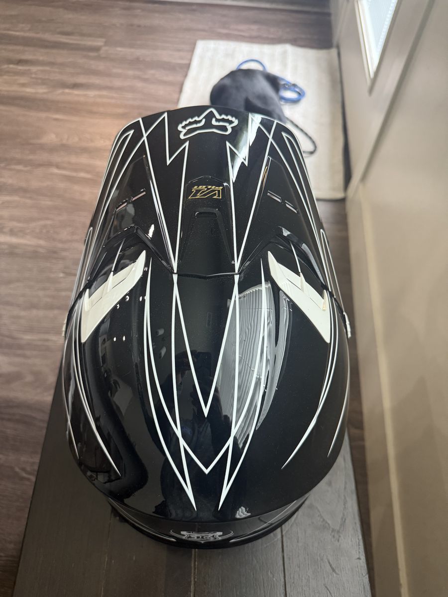 Fox helmet and fox gloves