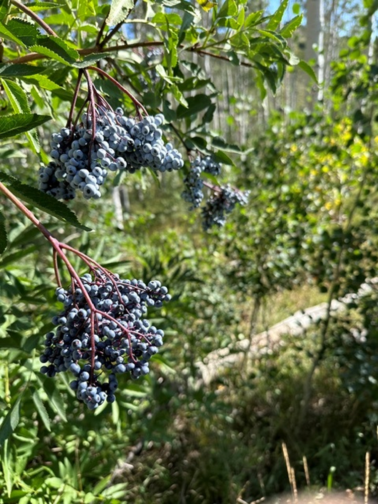 Main image 39