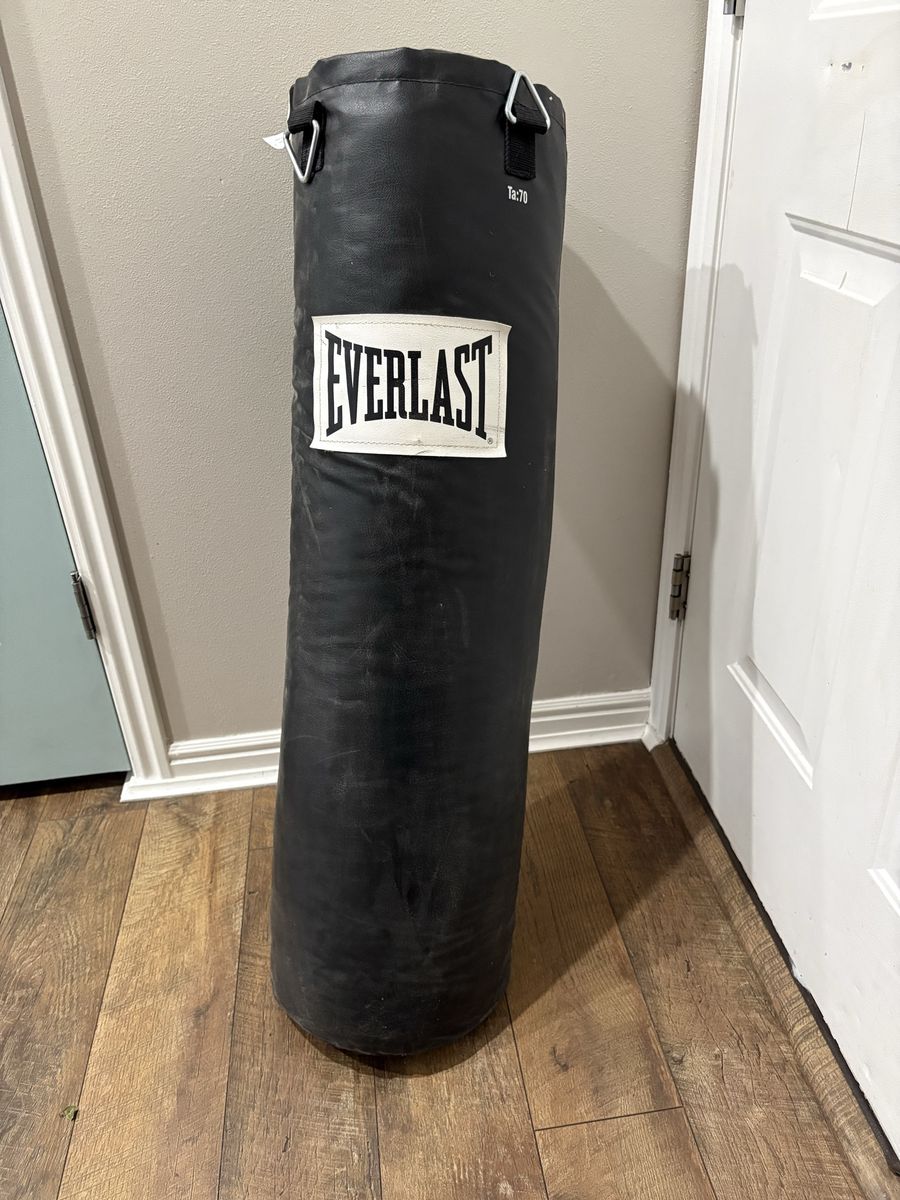 Everlast 70lb Punching Bag and Gloves