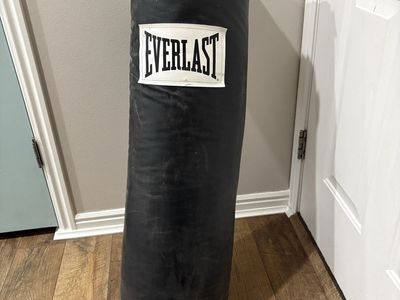 Everlast 70lb Punching Bag and Gloves