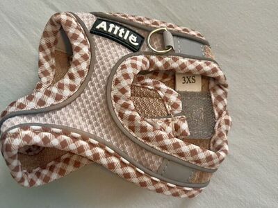 harness and leash set for puppy