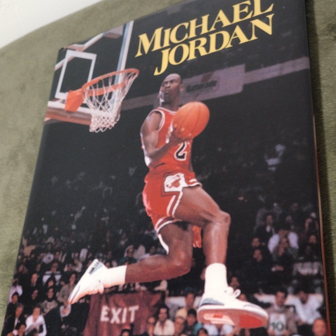 Michael Jordan book