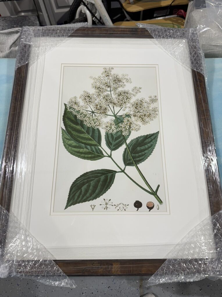 **NEW** shadow Catchers Terpin Botanical V Art