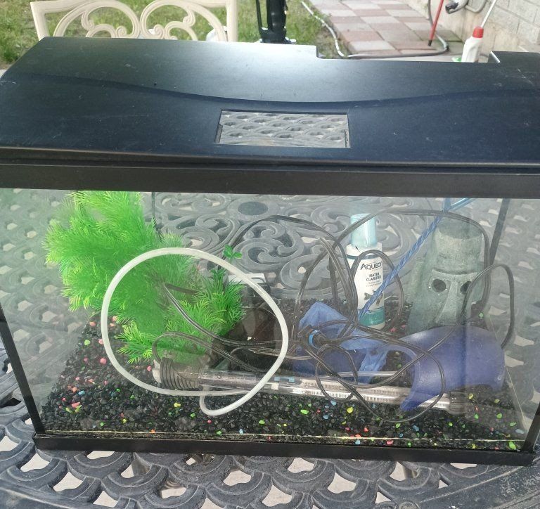 10 gallons fish tank