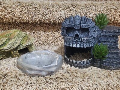 Double Dome light and Decor