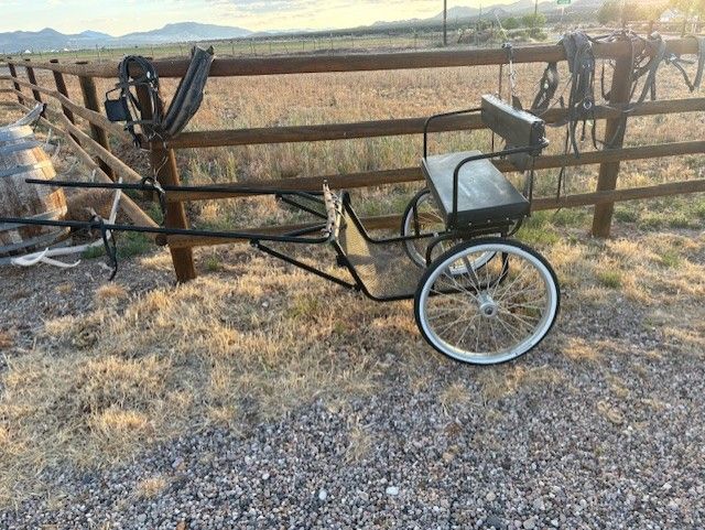 Horse Cart and cobb harness