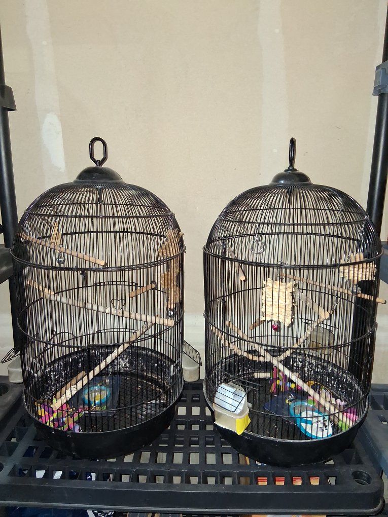 bird cages