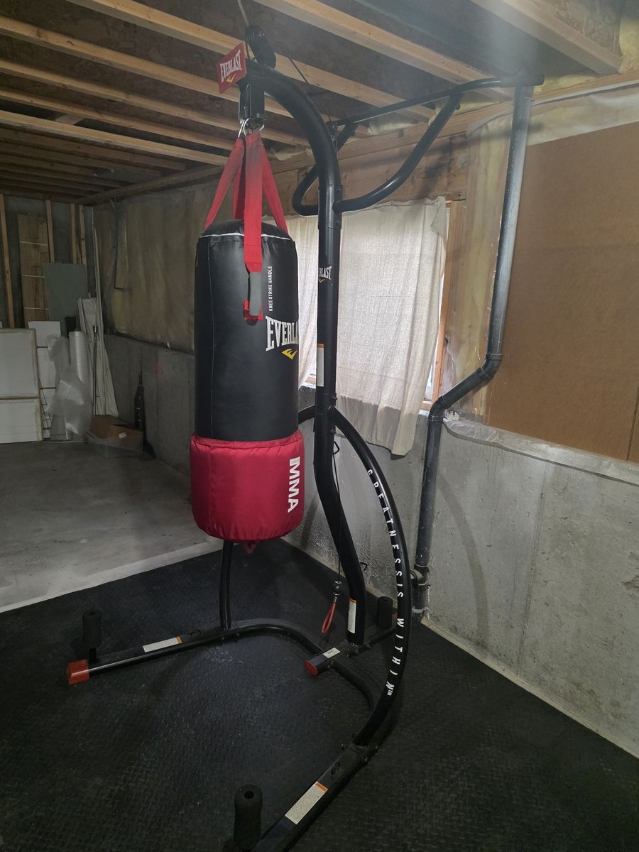 Everlast Heavy Bag