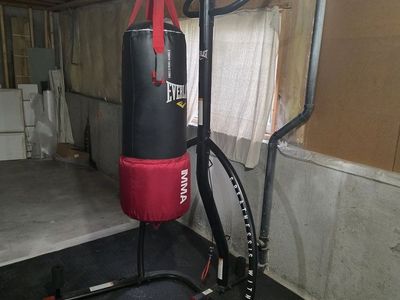 Everlast Heavy Bag