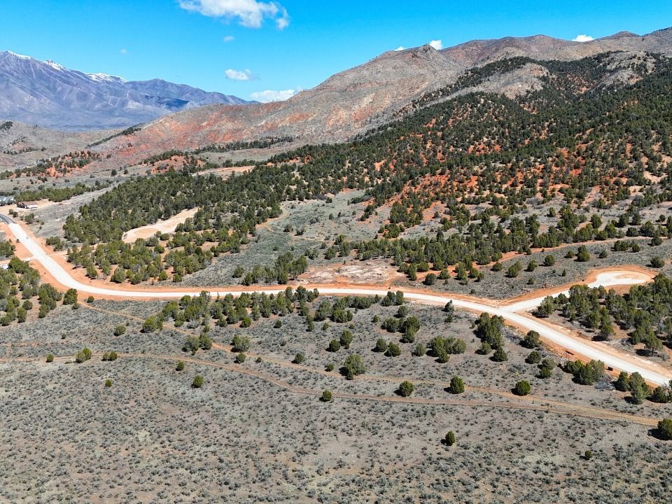 Main image 1