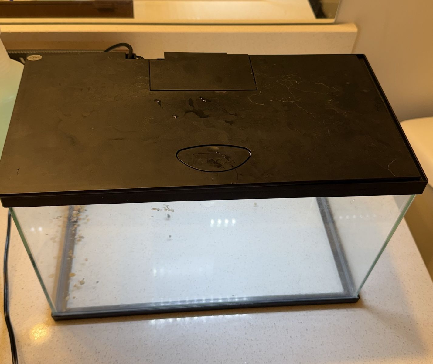Main image 2