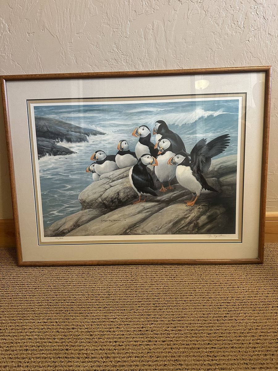 Roger Tory Peterson, Limited addetion signed Print, Puffins