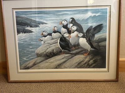 Roger Tory Peterson, Limited addetion signed Print, Puffins