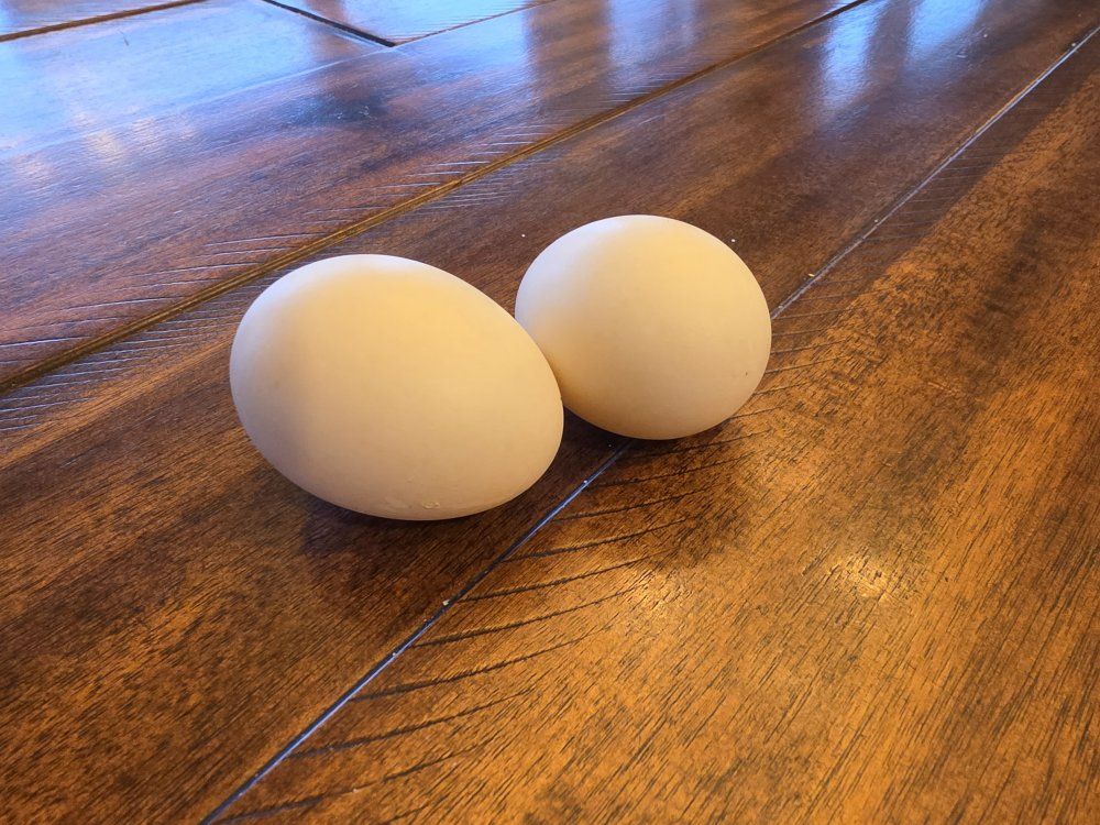 White Bresse Fertilized Eggs For Hatching