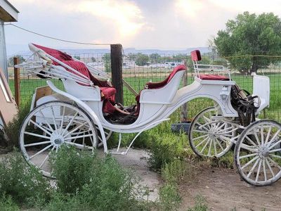Classic White Wedding Carriage - Horse Drawn Cinderella Buggy with Red Velvet Interior