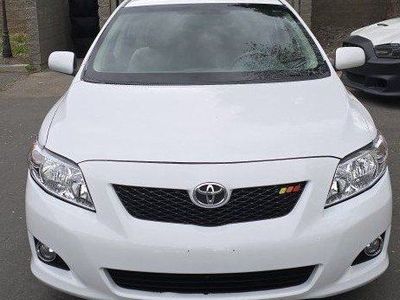 Beautiful Corolla (2010)