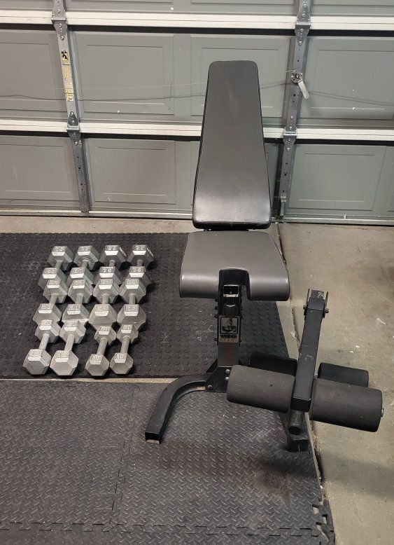 dumbbells 270 pounds