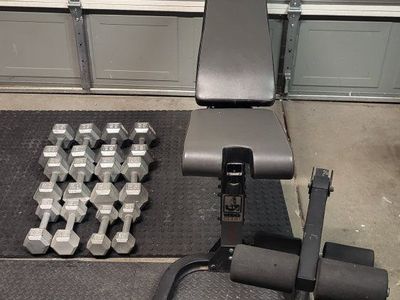 dumbbells 270 pounds