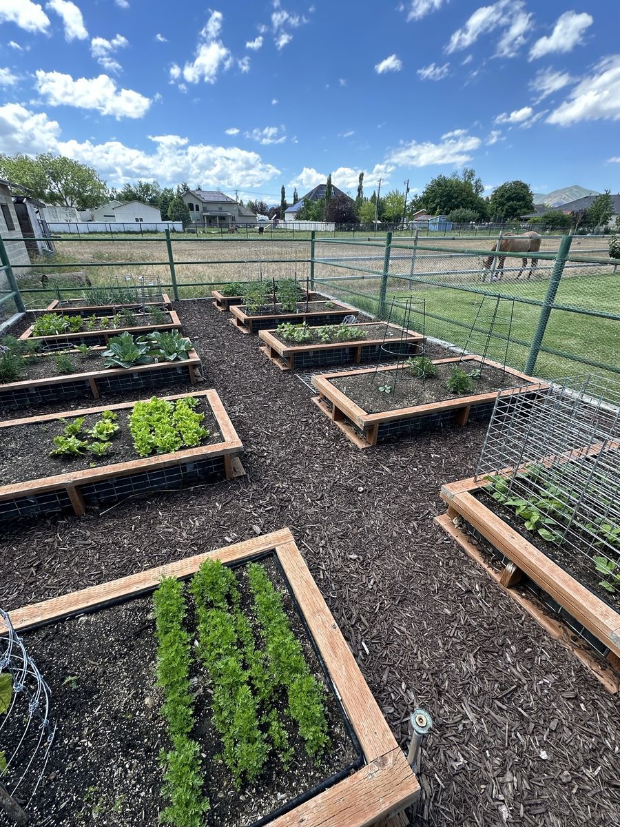 Grow Boxes