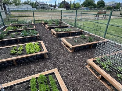 Grow Boxes