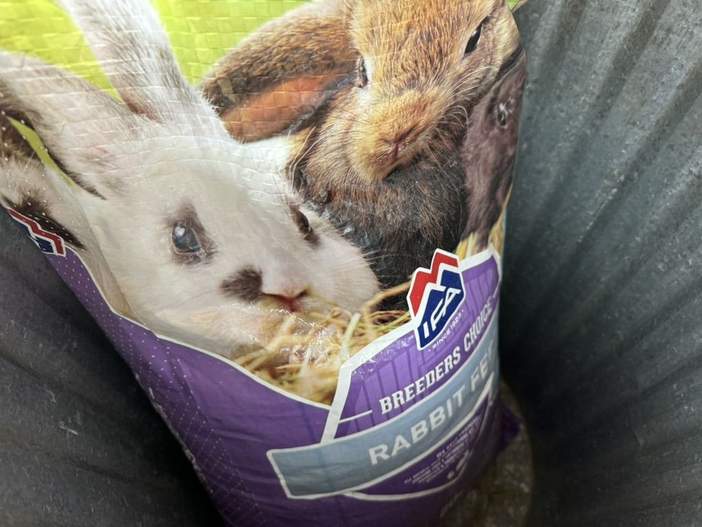 Rabbit Supplies And Food