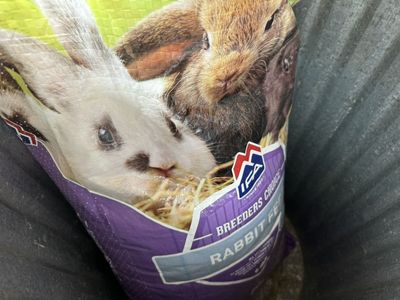 Rabbit Supplies And Food