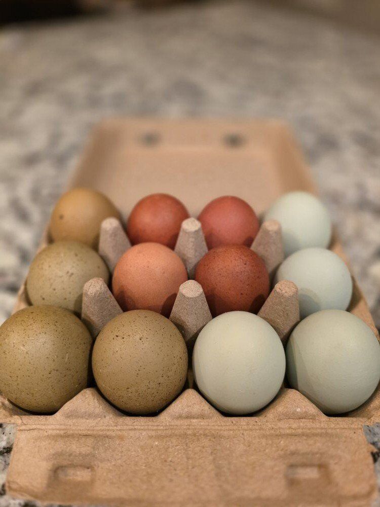 Farm Fresh Eggs