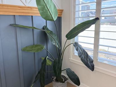 Large Faux Banana Leaf Plant