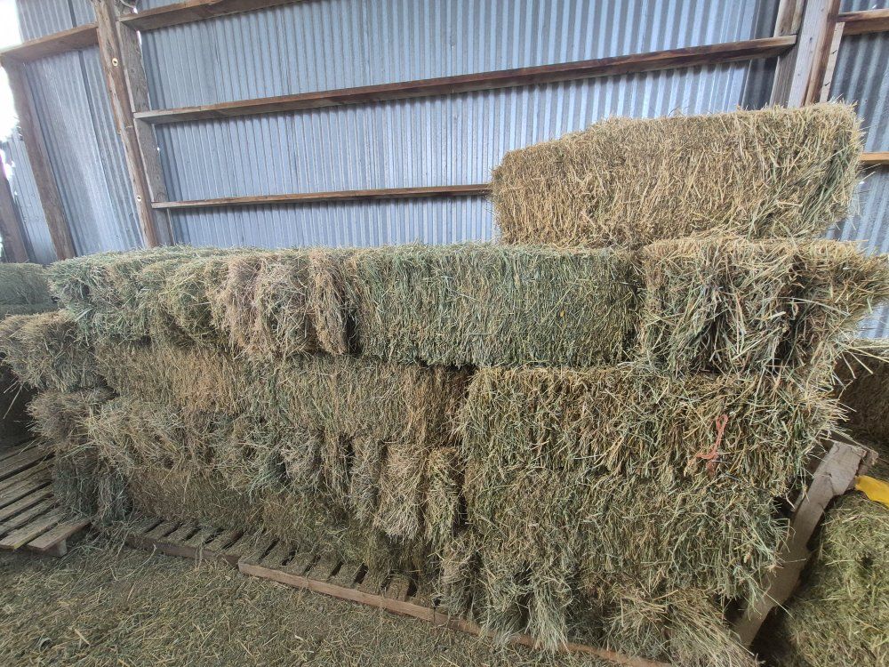 grass hay