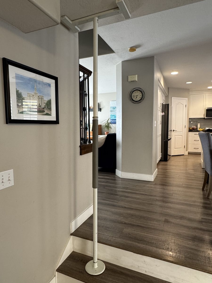 Mobility Assistance Pole