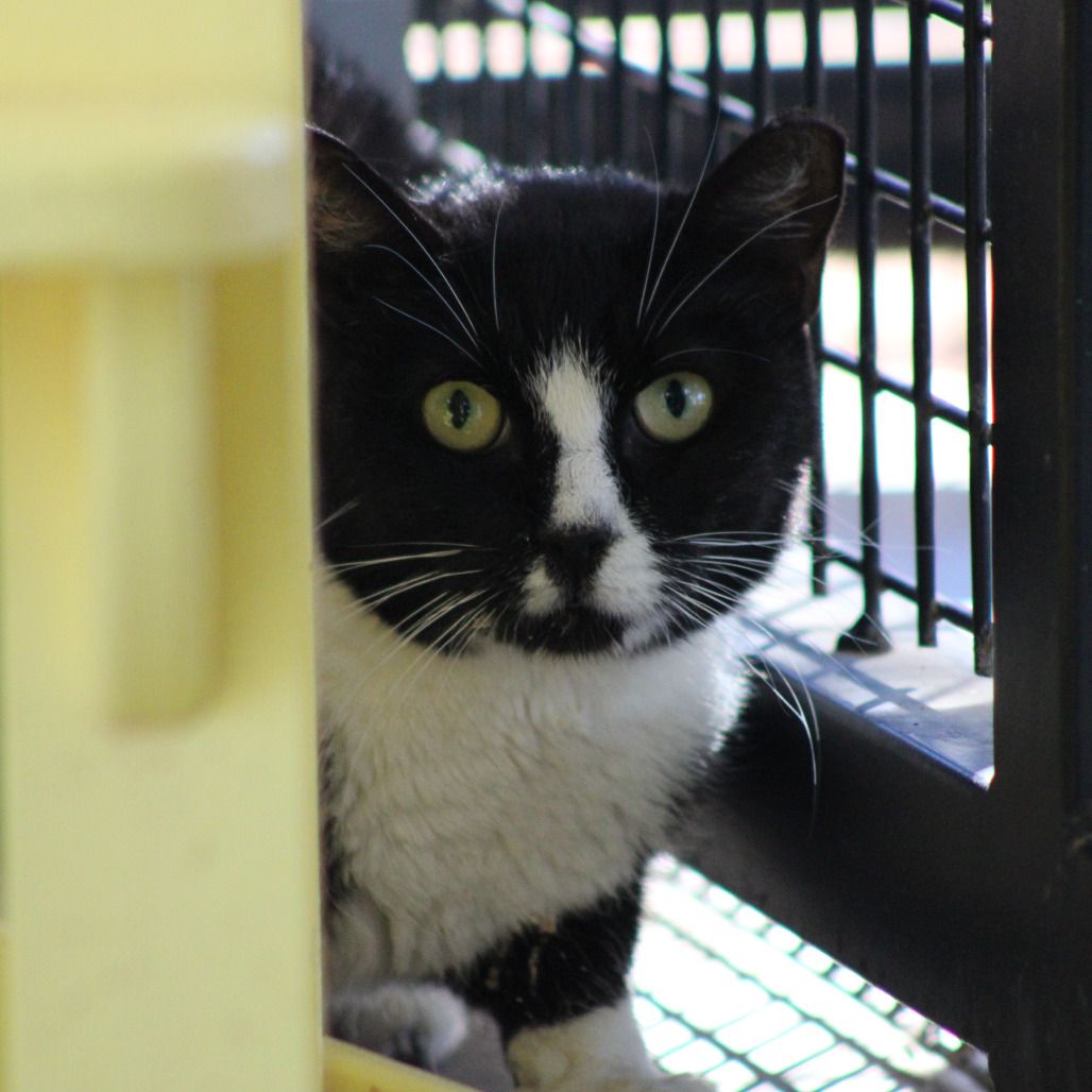 Hello my name is Pauline