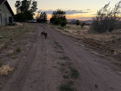 Need a home for your horse or livestock?
