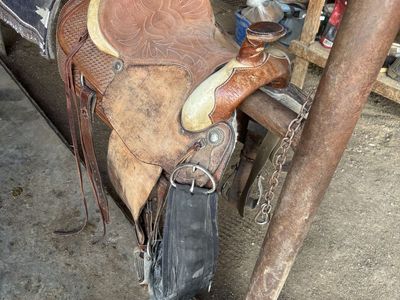15.5 saddle